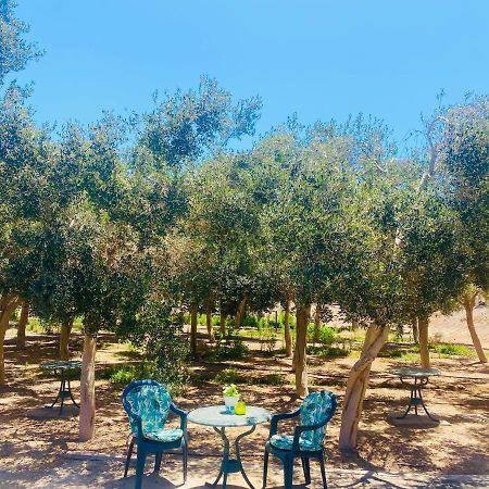 Olive Bungalow Gran Tarajal Extérieur photo