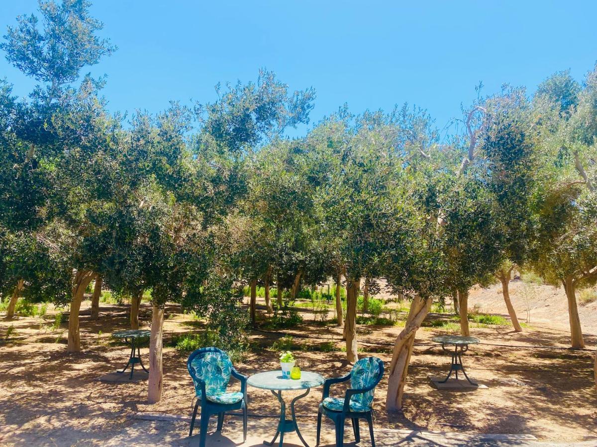 Olive Bungalow Gran Tarajal Extérieur photo
